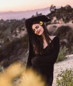 005.jpg